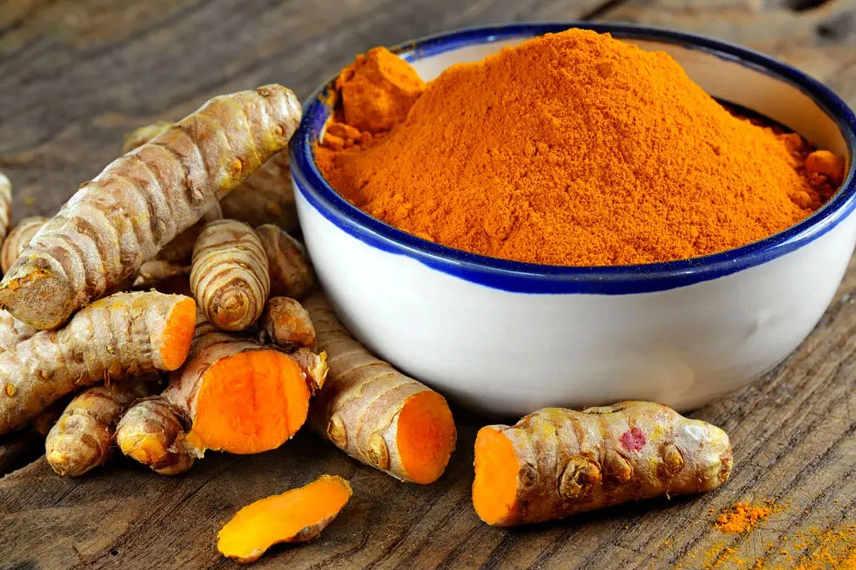 CURCUMA: Oro Indio