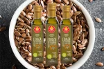 Aceite de Linaza Fontevita 250ml