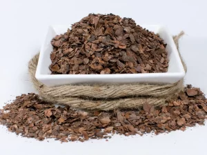 Cacao en Rama
