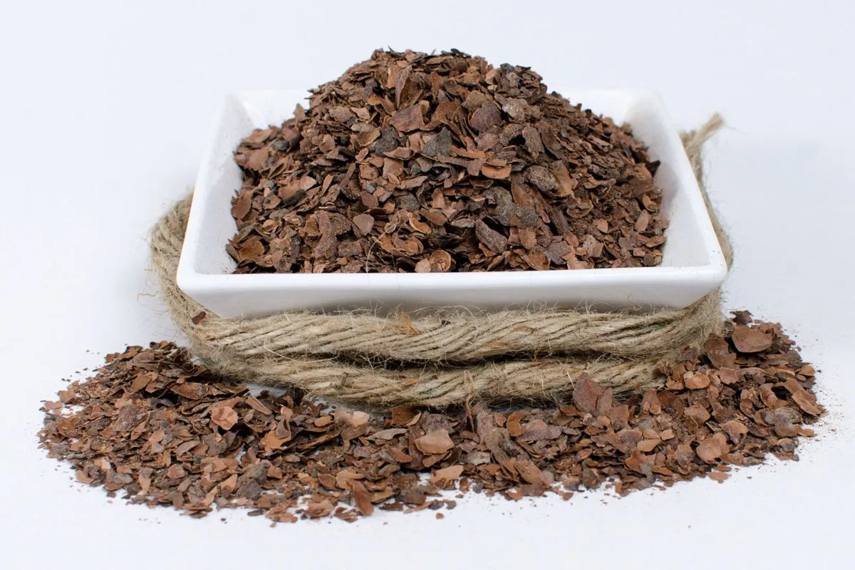 Cacao en Rama Cacao en Rama