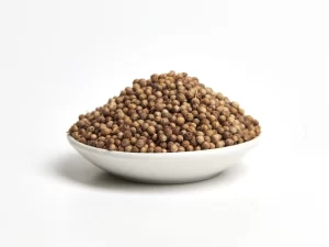 Cilantro Entero