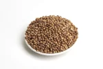 Cilantro Entero