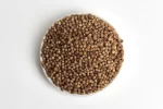 Cilantro Entero