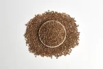 Cilantro Entero
