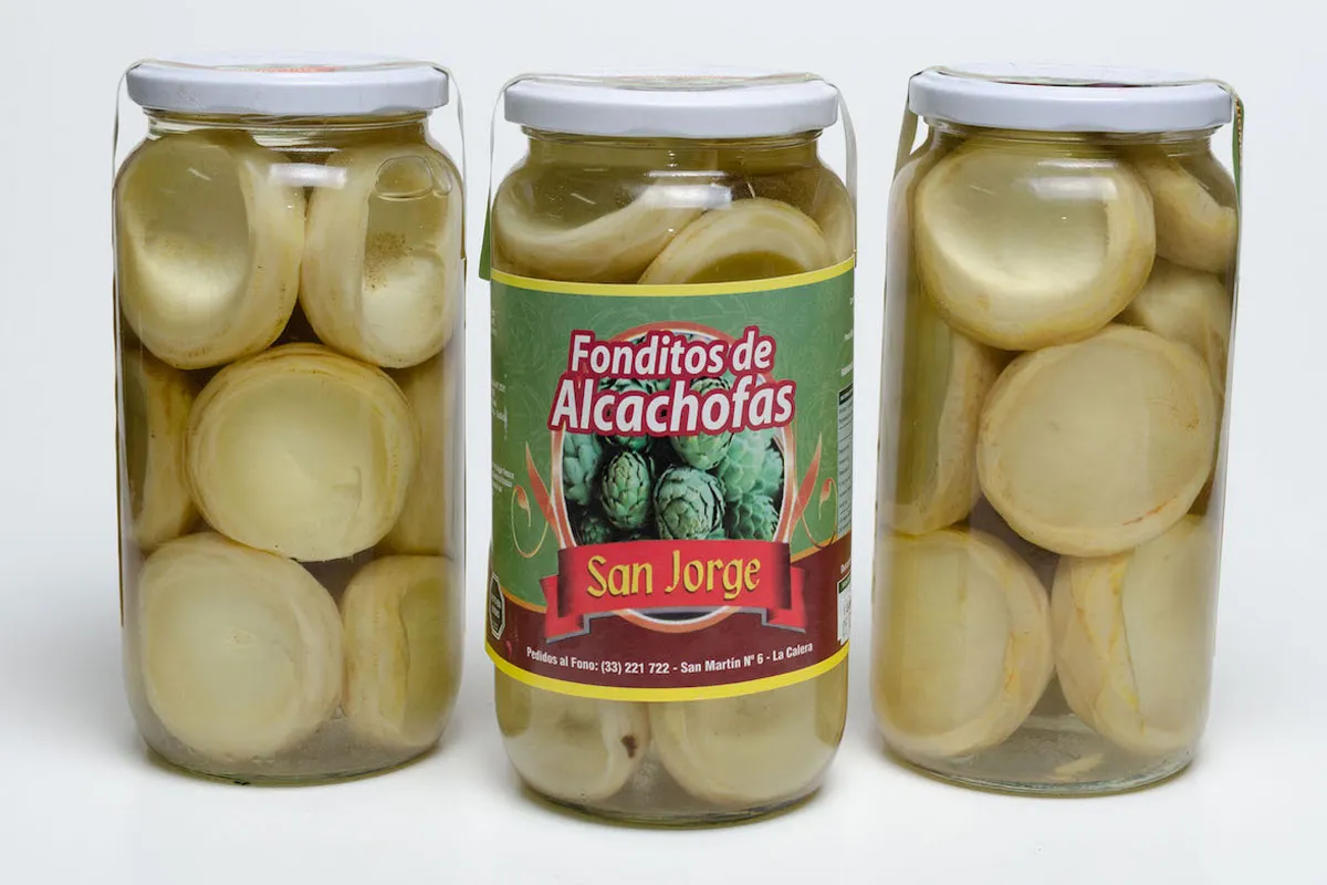 Fondos de Alcachofa Fondos de Alcachofa
