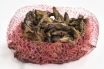 Hongos Deshidratados