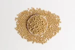 Poroto de Soya