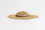 Poroto de Soya