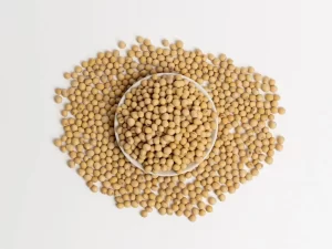 Poroto de Soya
