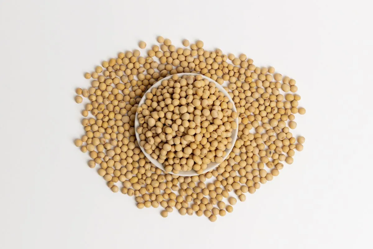 Poroto de Soya Poroto de Soya