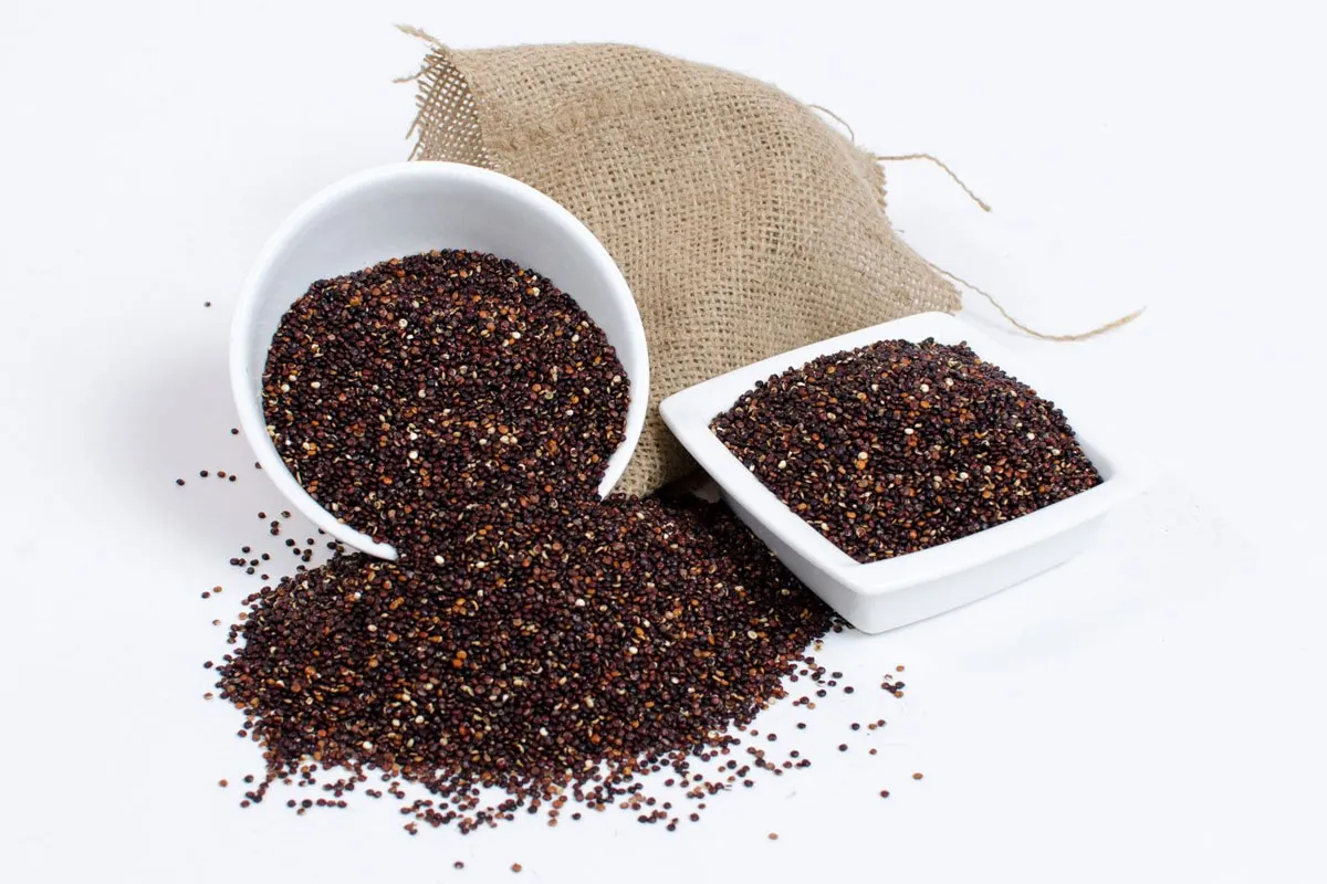 Quinoa Negra Quinoa Negra