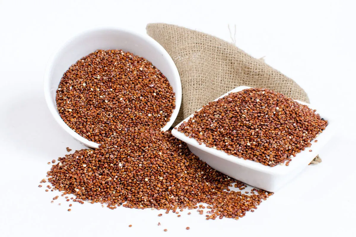 Quinoa Roja Quinoa Roja