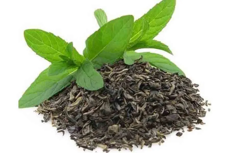 Té Verde Té Verde