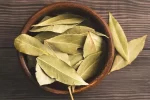 Laurel